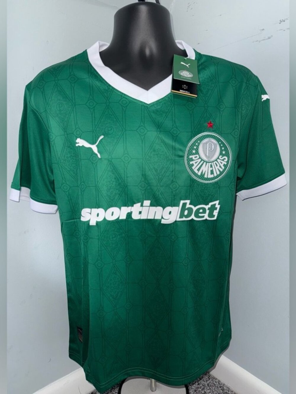 25/26 Palmeiras Home Jersey